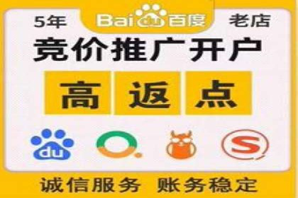 竞价推广实战：经典案例深度解析